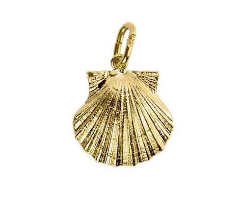 Scallop Small